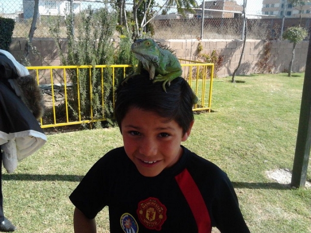 diversion en tu fiesta